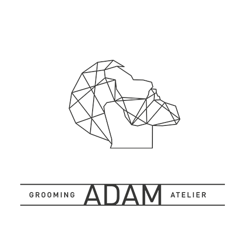 Barber Logo